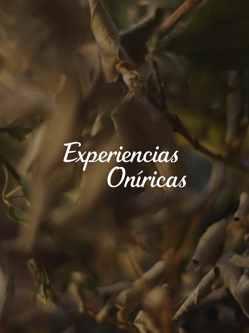 Experiencias Oníricas