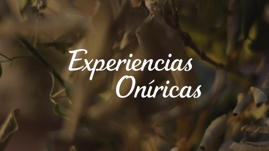 Experiencias Oníricas